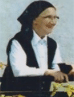 Ruža Mlikota